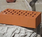  В Астрахани 16-летний подросток разбил голову кирпичом пожилой медсестре