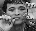 Нелегальные мигранты заплатят 20 миллионов рублей штрафов