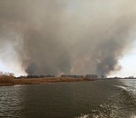 Астраханская дельта погибает в огне