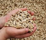 Иранская компания построит в Астраханской области завод комбикормов