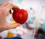 Более 150 астраханцев сдали кровь в рамках Национального дня донора