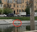 В Астрахани открыли купальный сезон