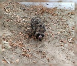 На астраханца во время рыбалки напал лесной зверек