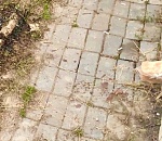 Астраханца, который избил и сжег человека во дворе на Адмирала Нахимова, признали психически неуравновешенным