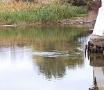 Водолазы устранили прорыв трубы под Милицейским мостом