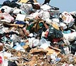 В Астрахани за мусорками проследит Полумордвинов