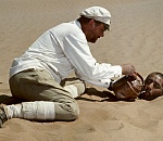 Климатический Армагеддон: жара в Астрахани превысит 40 градусов