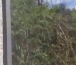 Астраханец на видео показал, как администрация магазина не беспокоится о безопасности жителей