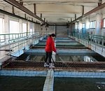 В Астрахани очистные сооружения водопровода будут модернизированы