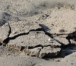 Неуравновешенная астраханка разбила мужчине голову асфальтом