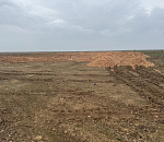 Свалку лука обнаружили на севере Астраханской области