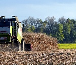 Астраханские аграрии получат 750 млн рублей господдержки