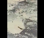 Реку Кизань в Астраханской области отравили тоннами нефтепродуктов