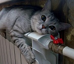 Еще на нескольких улицах Астрахани отключили отопление