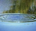 В Астраханской области утонул мужчина