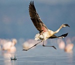 Александр Жилкин продолжает взлет