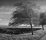 МЧС предупреждает астраханцев о разгуле стихии