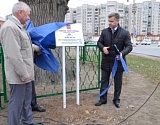 В Астрахани  дуб Петра I  признали памятником живой природы всероссийского значения