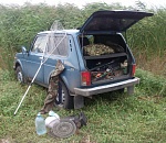 Иногородние туристы рвутся в Астрахань под любыми предлогами