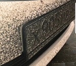 Фото дня: суровая астраханская мошка