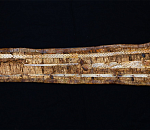 Астраханцы смогут увидеть колчан времен Золотой орды