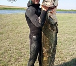 Астраханец поймал рыбу таких размеров, что не верится глазам