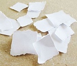 Астраханец, порвавший в клочья протокол на глазах у полиции, пойдет под суд