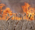 Achtung! Fouer! Почти все астраханские районы ждут пожароопасные дни
