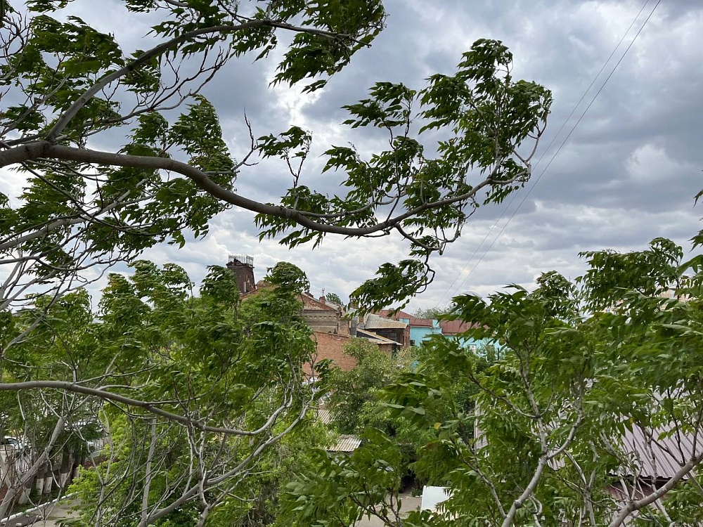 Весенняя погода в Астраханской области завтра испортится 