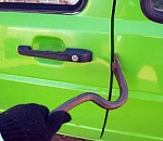 В Астрахани за ночь подростки взломали три автомобиля