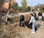 От сбора мусора до разбивки клумб: «Дни чистоты» охватили все районы Астрахани