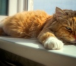 Астраханцам осталось еще немного потерпеть адскую жару