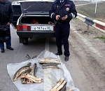 У астраханки изъяли 40 килограммов осетра