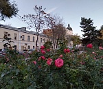 Завтра в Астрахани потеплеет