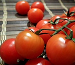 Завод по производству томатной пасты планируют запустить в августе