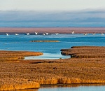 Вертолет, летающий над Астраханью, снимает ее красоты