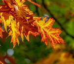 Астраханцев ждут последние теплые дни