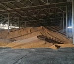 Астраханскую фирму обманули на 24 миллиона при покупке кукурузы