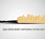 В Астраханской области  с 1 марта начнется пожароопасный сезон в лесном фонде