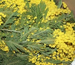 В астраханском аэропорту задержали подозрительный букет