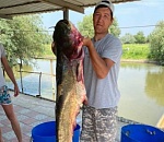 Сом-исполин попался на крючок в астраханской реке