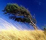 В воскресенье в Астрахани снова будет сильный ветер