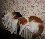 Объекты ЖКХ Астраханской области на 90% готовы к зиме 