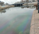 У центрального ЗАГСа на Волге образовалось нефтяное пятно 