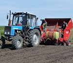 В Астраханской области засеяно более 70 тысяч гектар