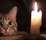 30 улиц останутся сегодня без света в Астрахани