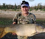 Астраханец поймал гигантского сазана