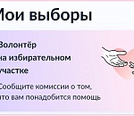 Почти 200 астраханцев запросили помощь волонтеров на избирательном участке