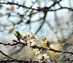 Завтра в Астрахани будет немного прохладнее, возможен дождь