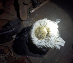 В Астрахани создали еще один наркопритон